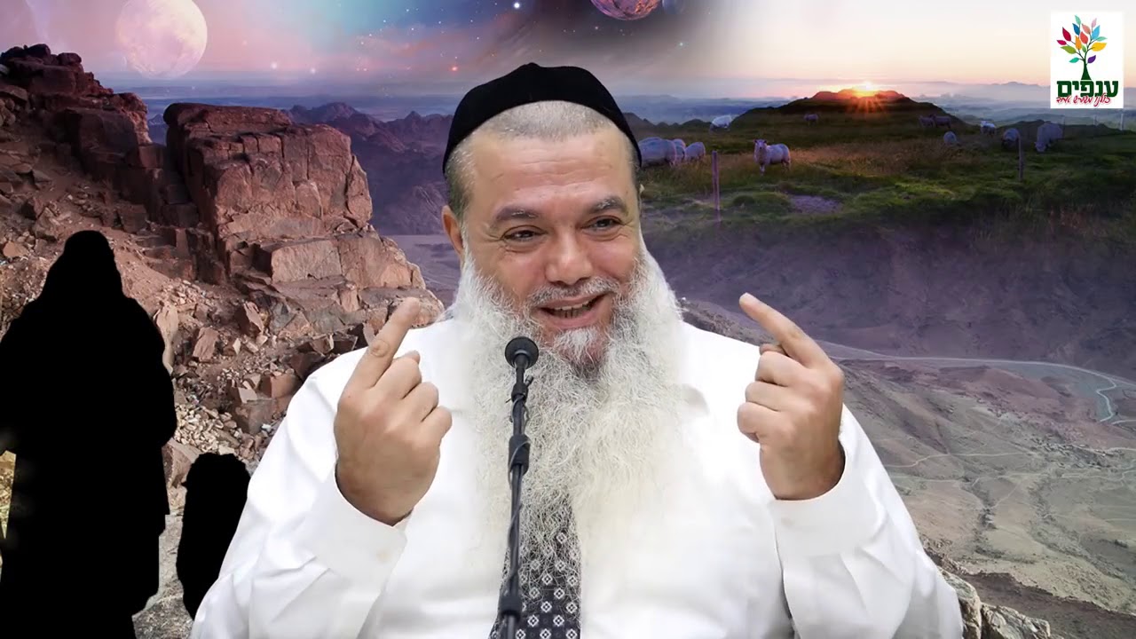פרשת וירא: לקבל הכל באהבה - הרב יגאל כהן HD - סדרה חדשה!!!