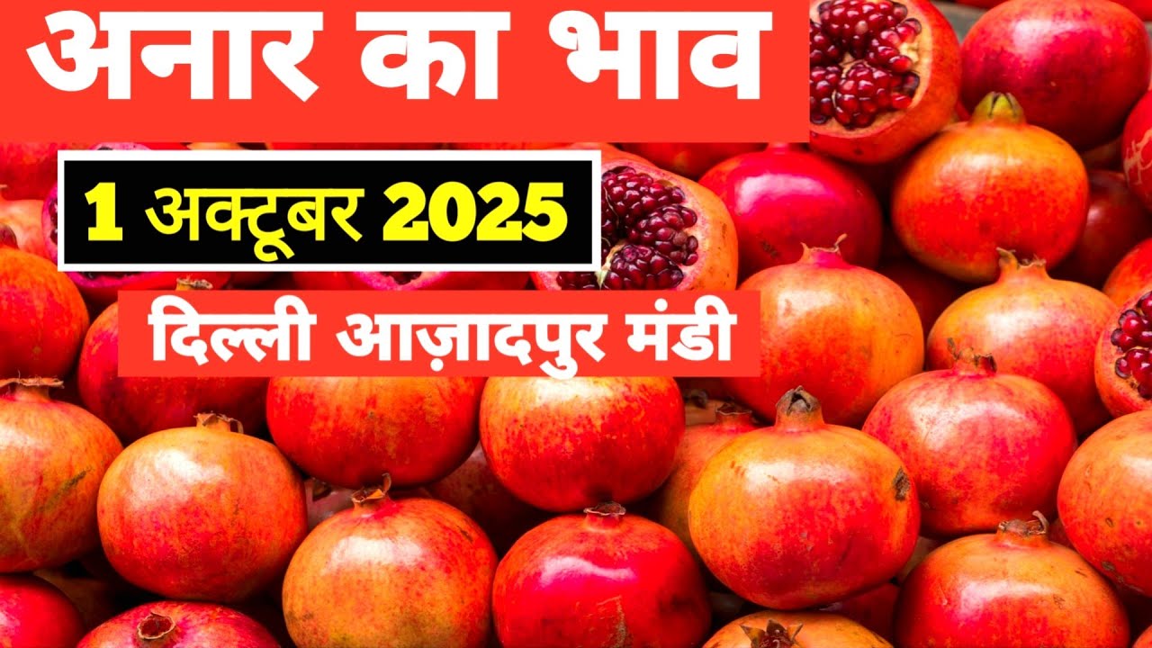 1 October 2025 अनार का भाव दिल्ली आज़ादपुर मंडी | today pomorate ratse #anar #fruit #delhimandi 