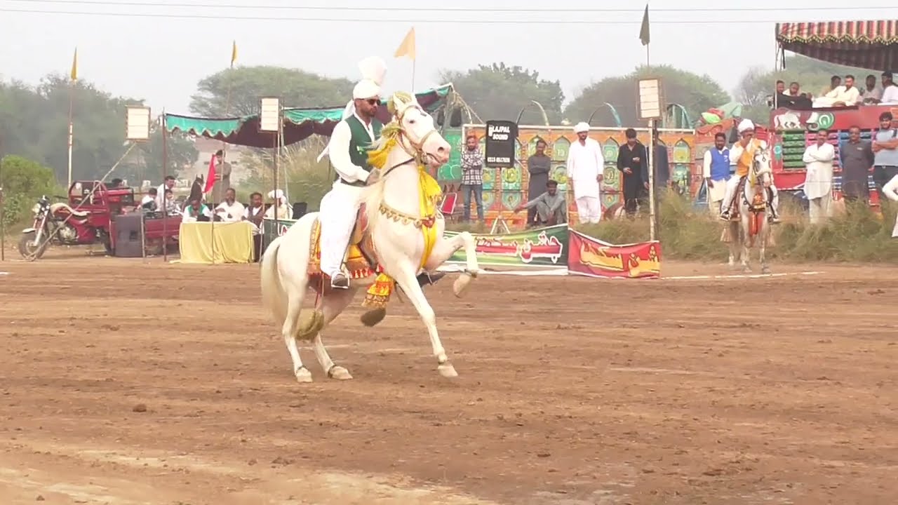 Neza bazi Sukha Jhelum | Horse Race