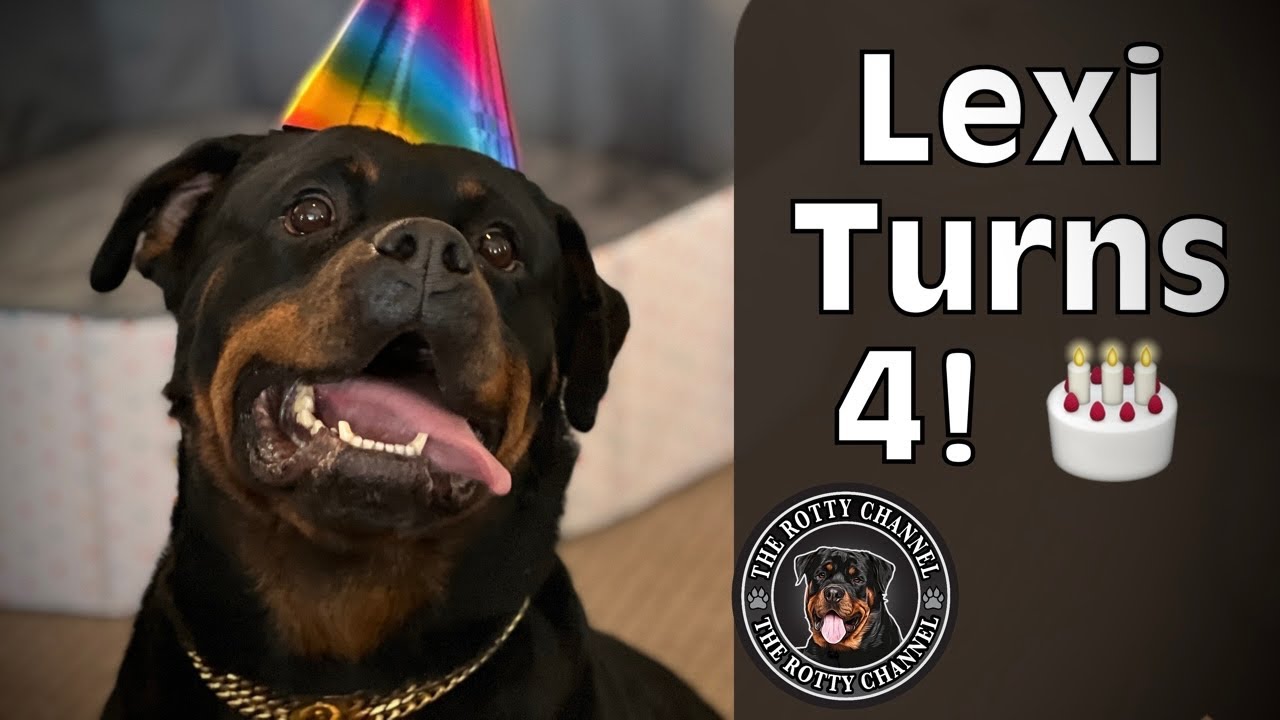 Best Dog Birthday Party Ever.