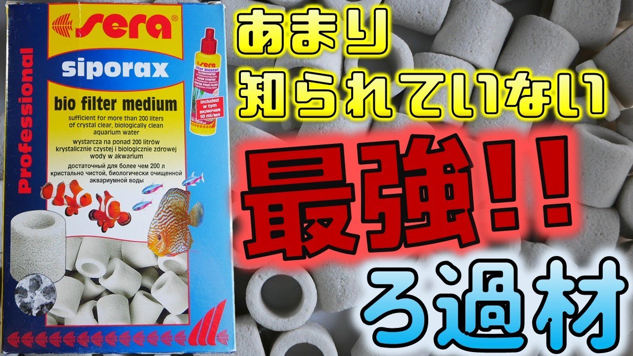 【ろ過材】過剰な多孔質ろ材は意味がない。最適な定着面積を誇る、バクテリアにとって居心地が良い構造。中まで水が浸透します セラジャパン シポラックス1L(290g)【ふぶきテトラ】