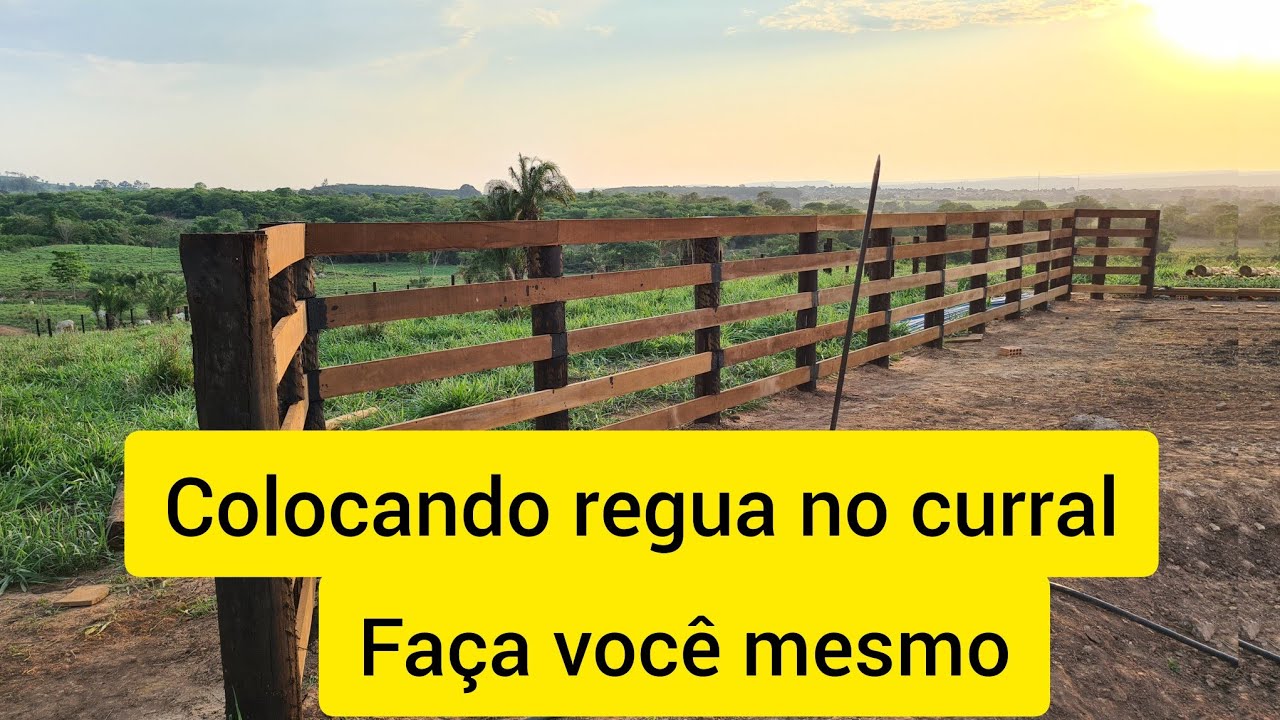 como colocar regua no curral