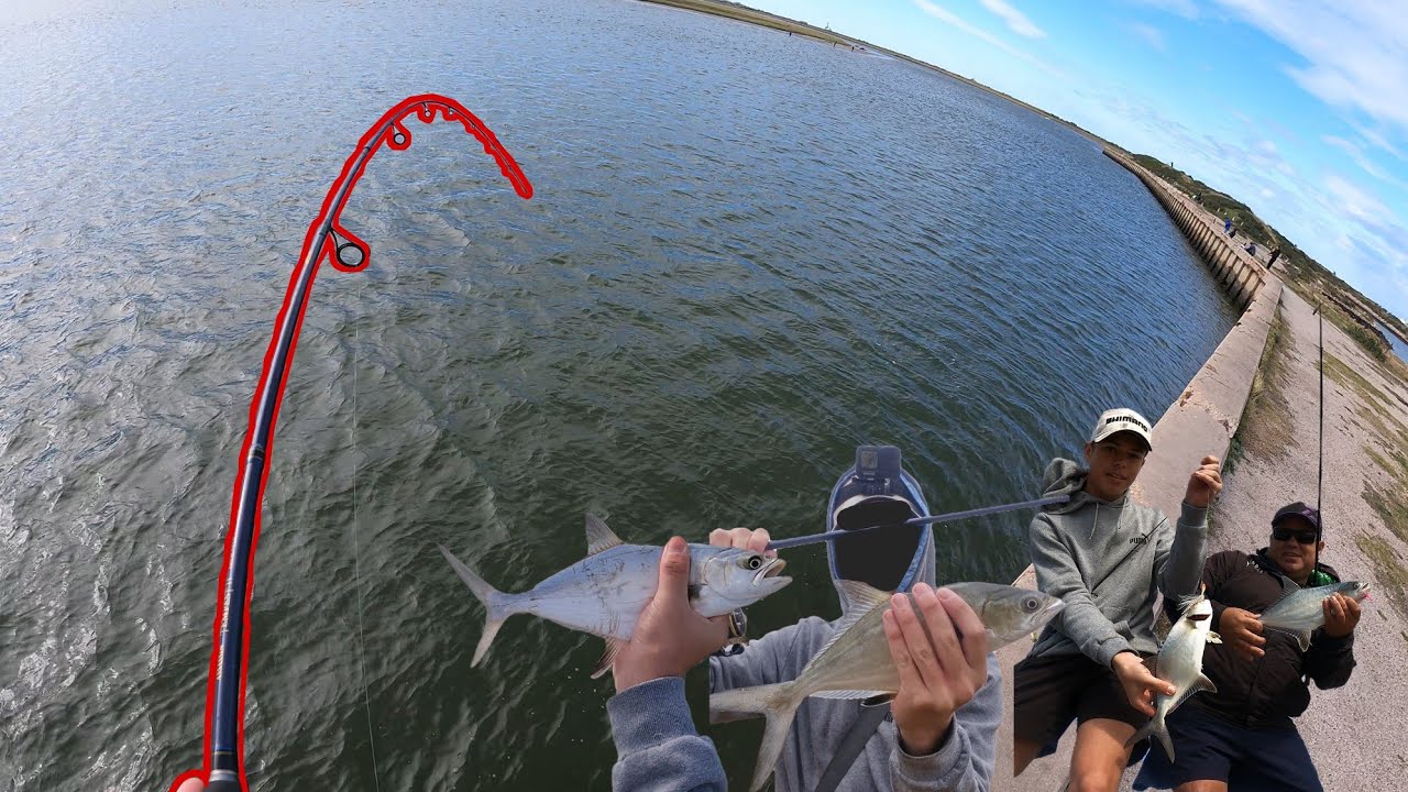 INSANE Estuary action (Swartkops)