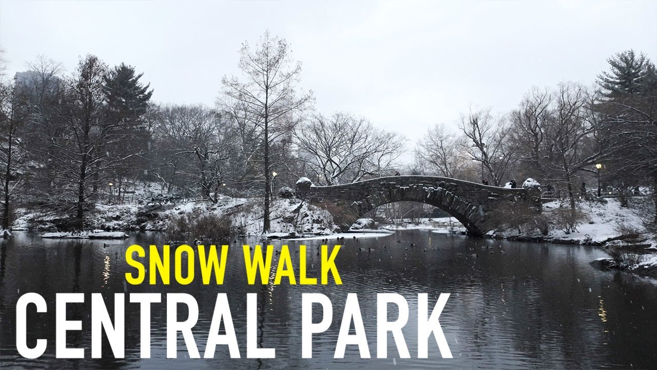 Central Park Snow Walk, First Snow of 2024, NYC, January 16, 2024, 4K
