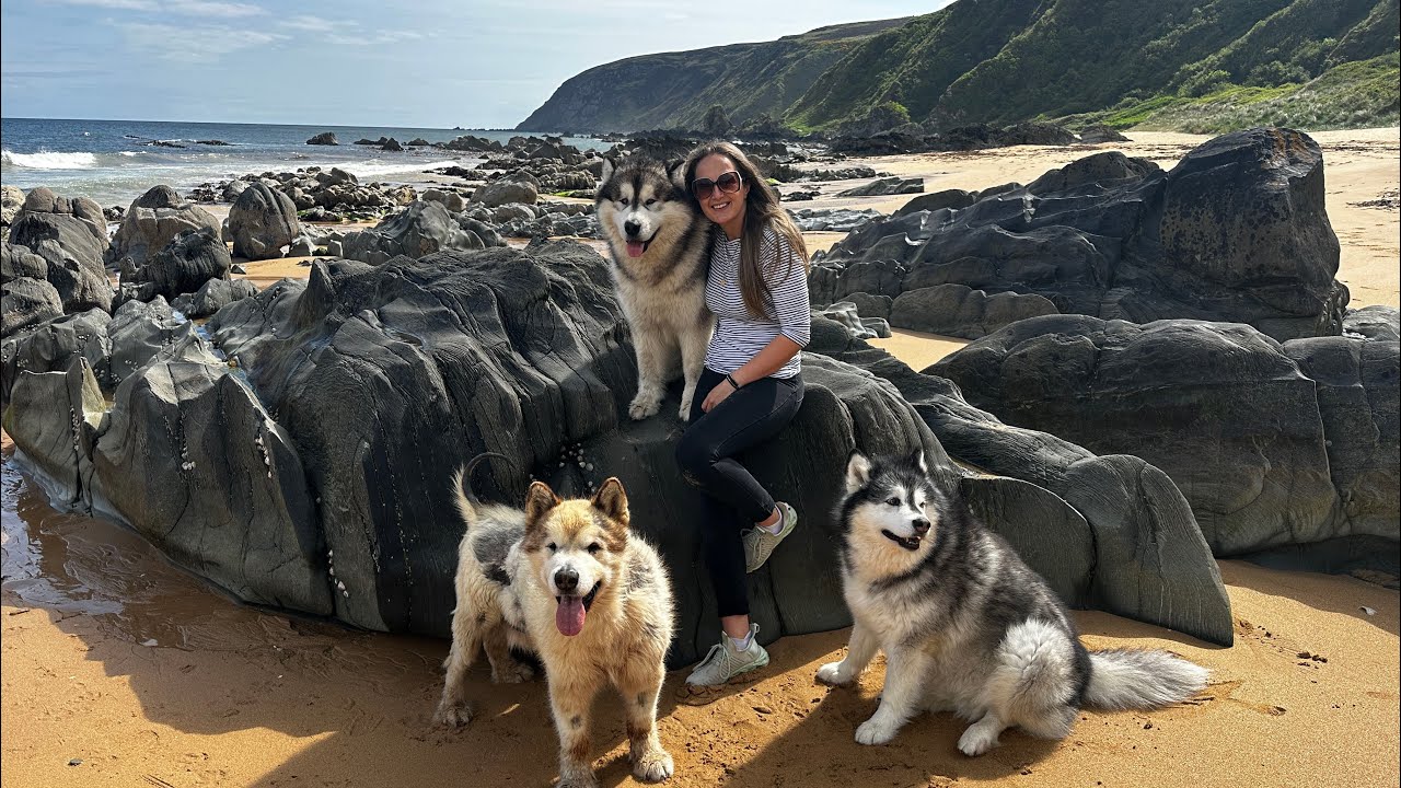Our Holiday Routine With 3 Dogs And 2 Kids! Is Phil Getting Too Old??