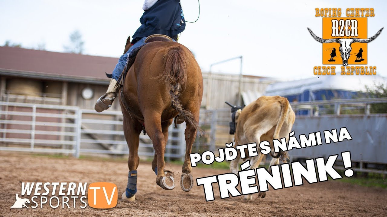 Lasařský trénink na ranči Roping Center! Aneb, jak začít lasovat?...