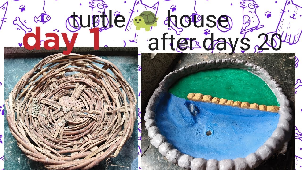 How to make turtle house 
