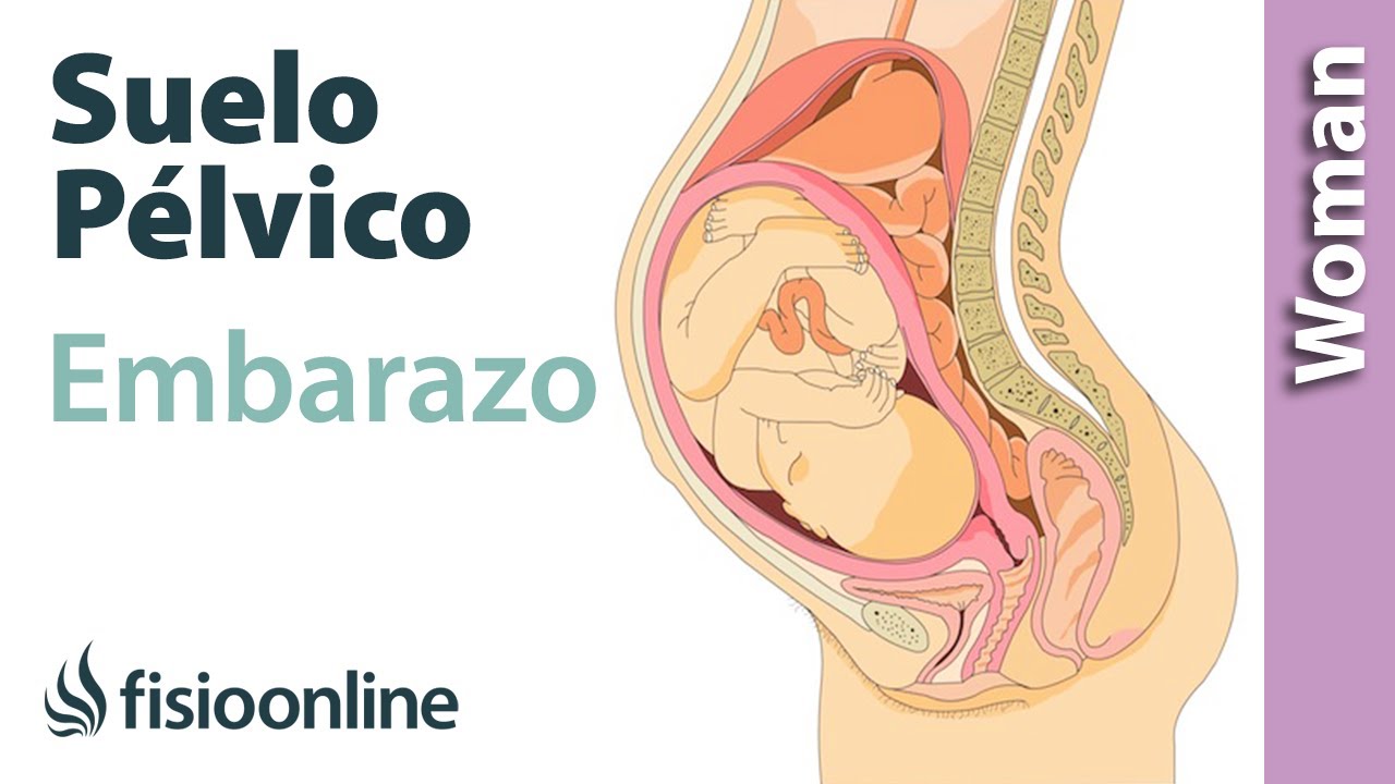¿Cómo afecta el embarazo al suelo pélvico? - Incontinencia urinaria y otros problemas