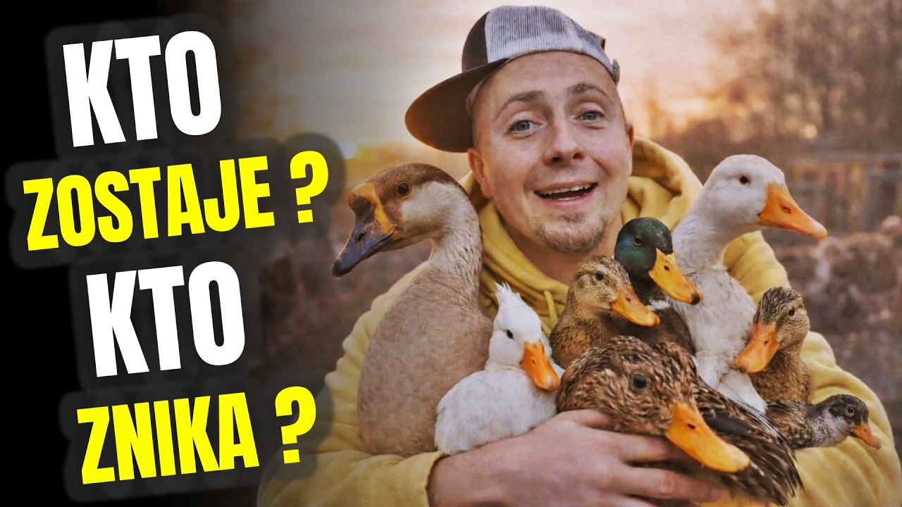 TRUDNA DECYZJA ! segregacja ptaków 🦆 odc. 845