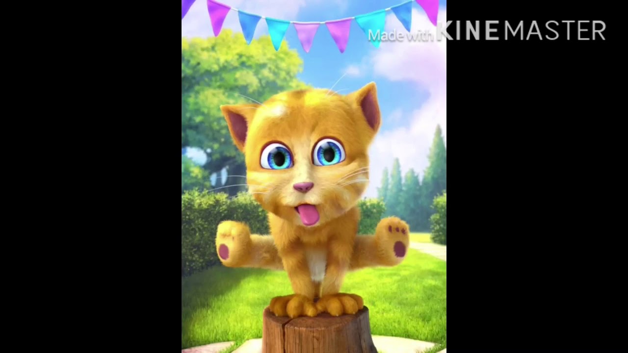 Dame da ne ginger