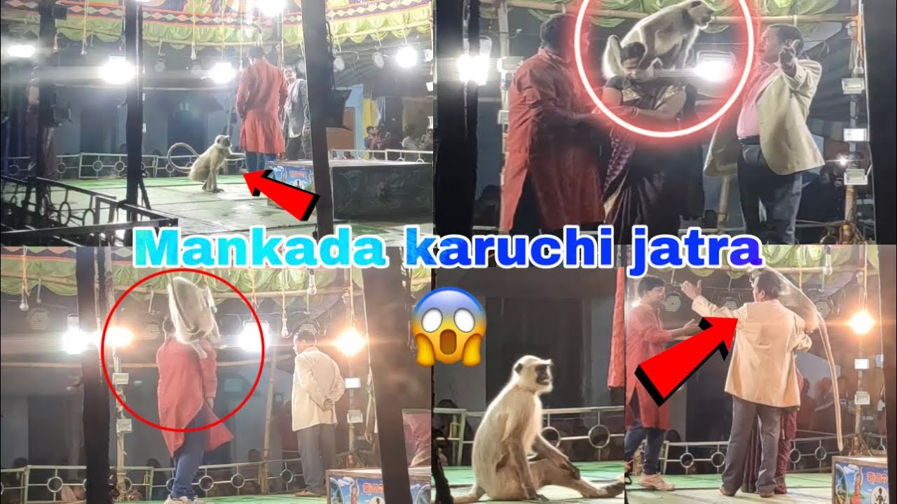 Mankada karuchi jatra 😱 || jatra lover ❤️ #viral #viralvideo #odisha #jatra #jatraagana