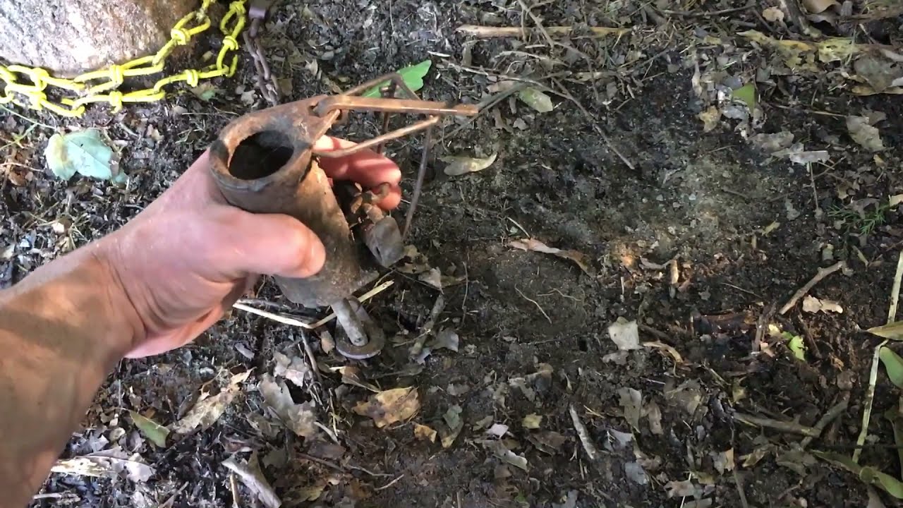 Dog Proof Raccoon Trap bait and setup