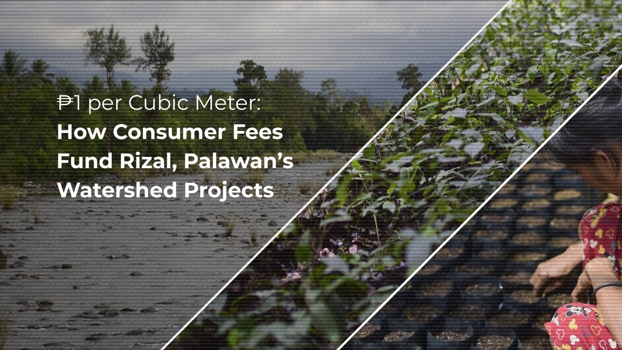 ₱1 Per Cubic Meter: How Consumer Fees Fund Rizal, Palawan’s Watershed Projects (P-WES)