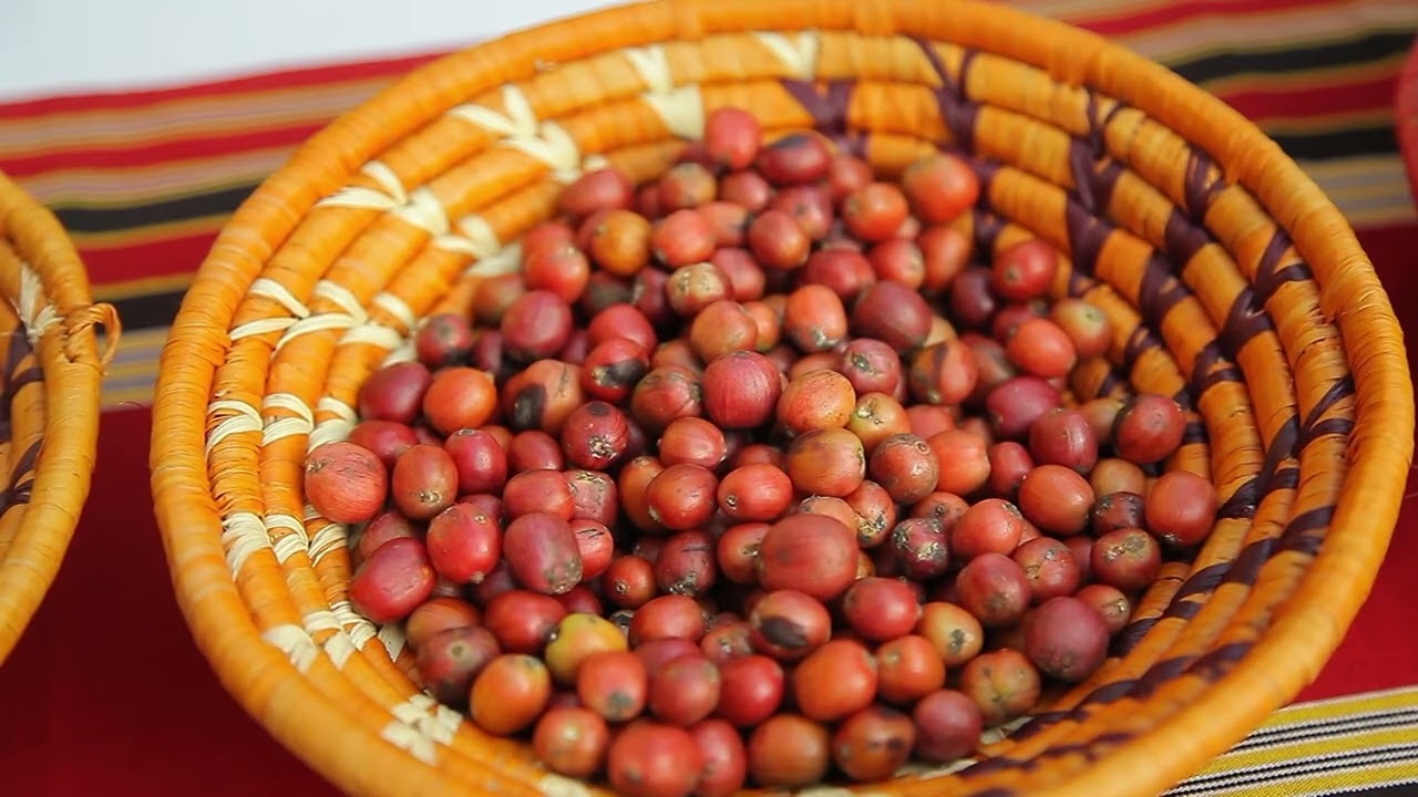 Uganda regesters 60% of coffee farmers as per European Union guidelines.
