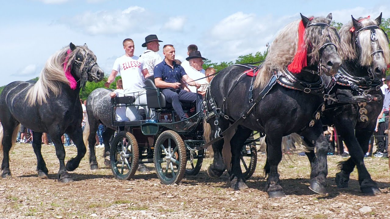 Parada cailor Marginea - Bucovina 23 Iunie 2024