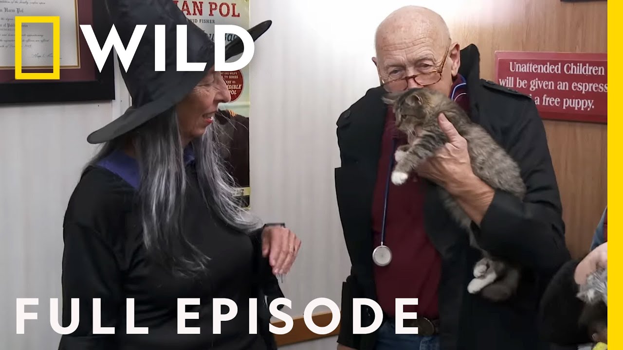 Happy Meowloween: Halloween with Dr. Pol (Full Episode) | The Incredible Dr. Pol