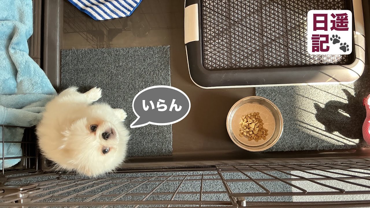2026年2月18日　「ごはん」美味しく食べて下さいね❗️