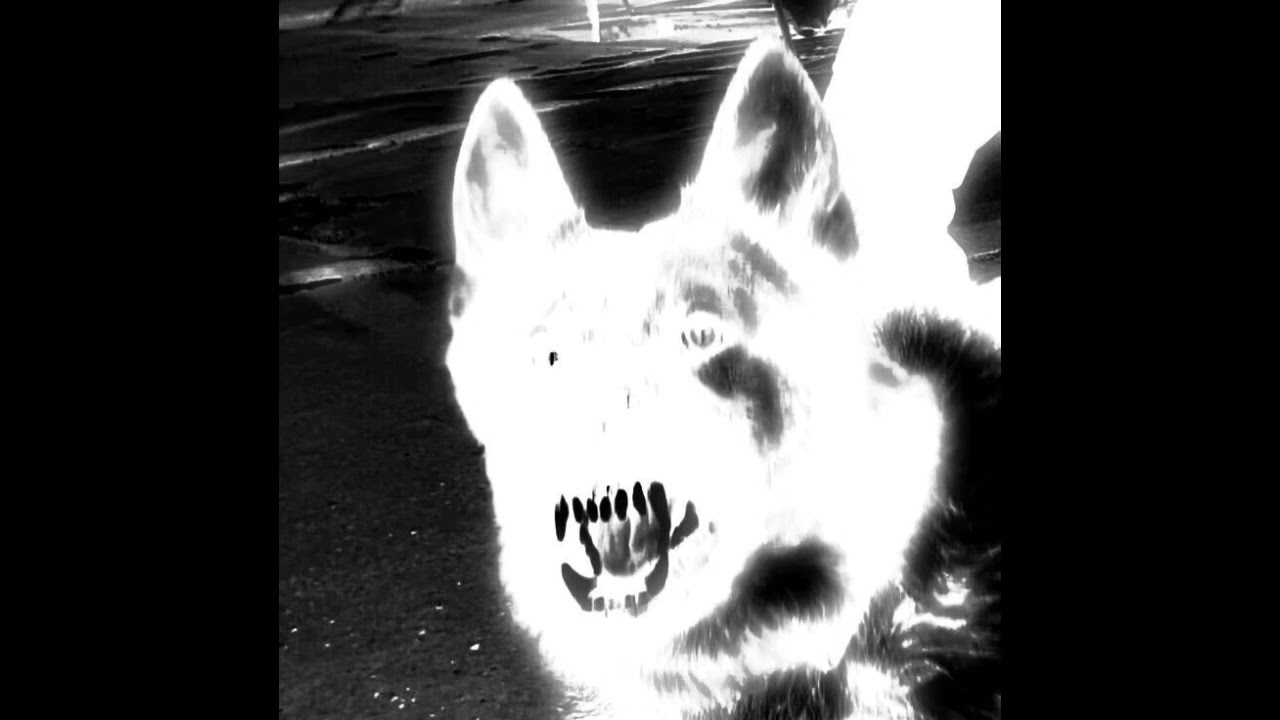 (free) electro punk x crystal castles x ho99o9 type beat | “fangs” (prod. sxzu)