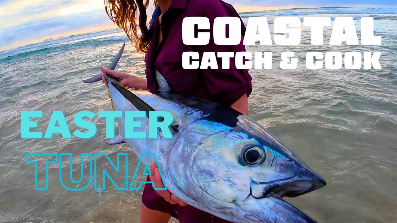 Wife's BIGGEST Catch Off The Beach - Drone Fishing Tuna