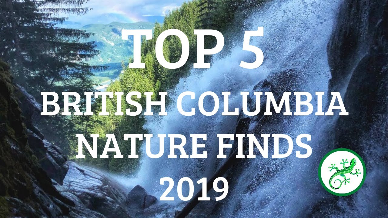 Top 5 EPIC Nature Finds 2019 | Beautiful British Columbia, Canada