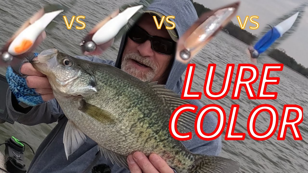 Color matters, especially with bigger fish! Keep it simple!