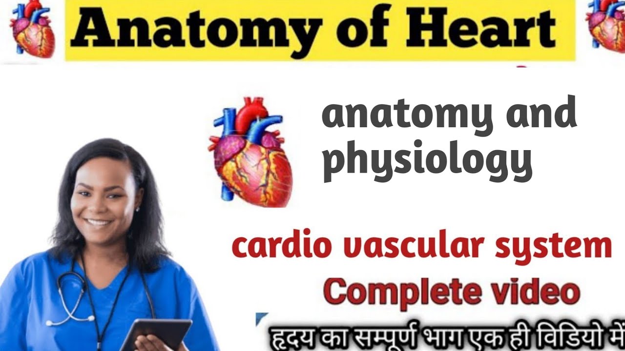 What is heart ? It's anatomy physiology full class in hindi.