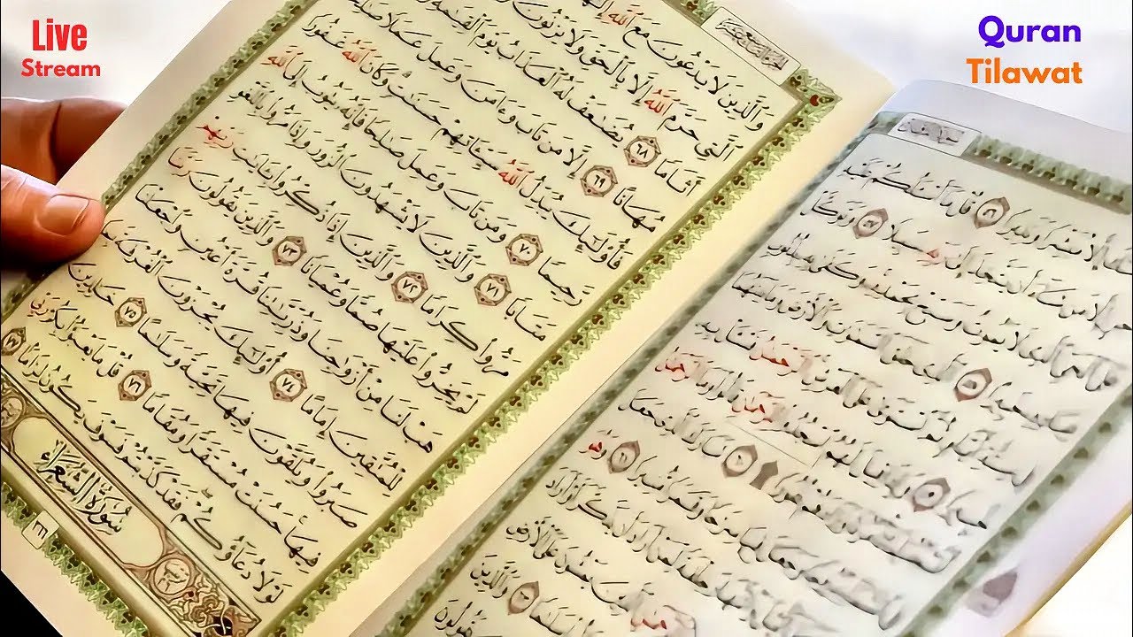 Latest❤️Quran🩷Tilawat❤️&zwj;🩹Live🤍Streaming