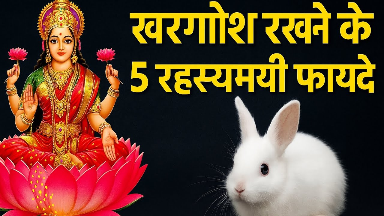 क्या खरगोश को पालने से घर में लक्ष्मी आती है? क्या यह वाकई आपकी किस्मत बदल सकता है?