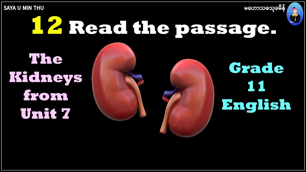 12 A Seen Passage Kidneys Q5