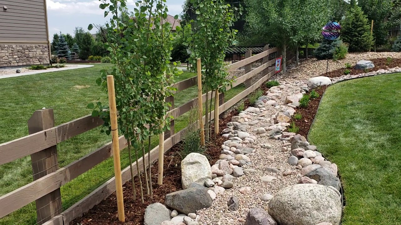 Broomfield Colorado Landscape Contractor Highlights A Dry Riverbed With Shrubs And Perennials
