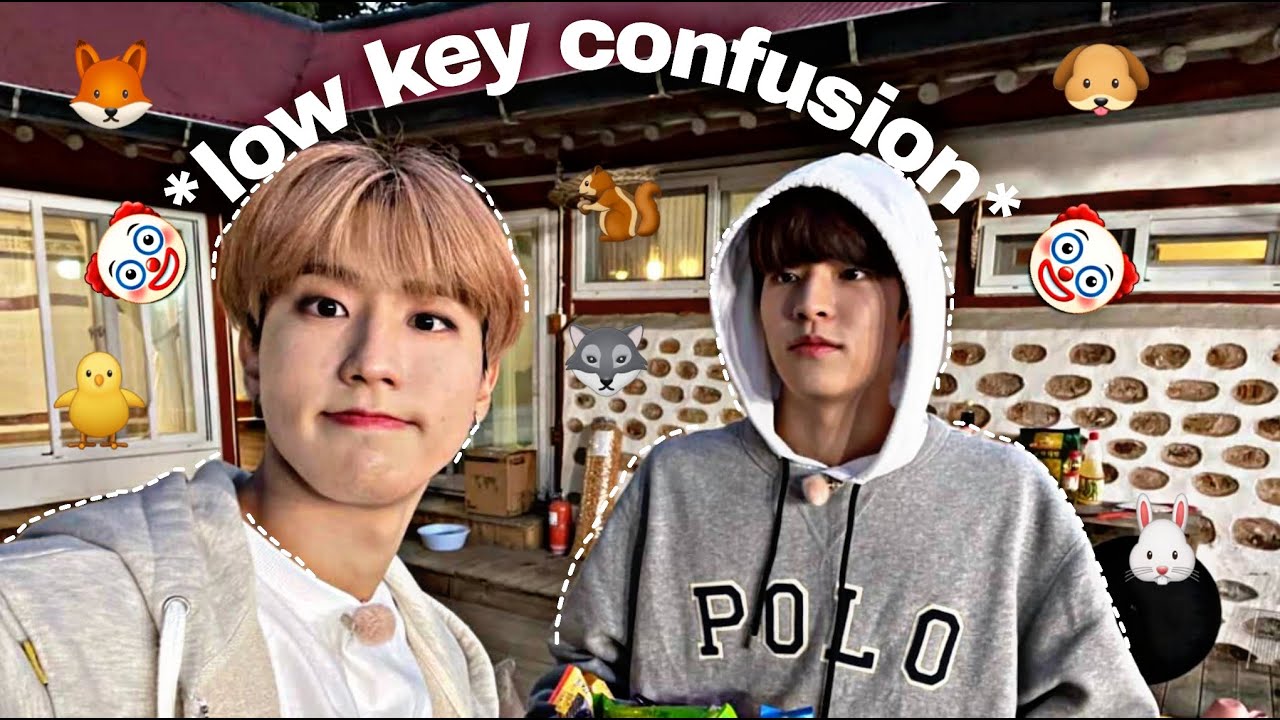 Stray Kids giving off sibling energy pt.2