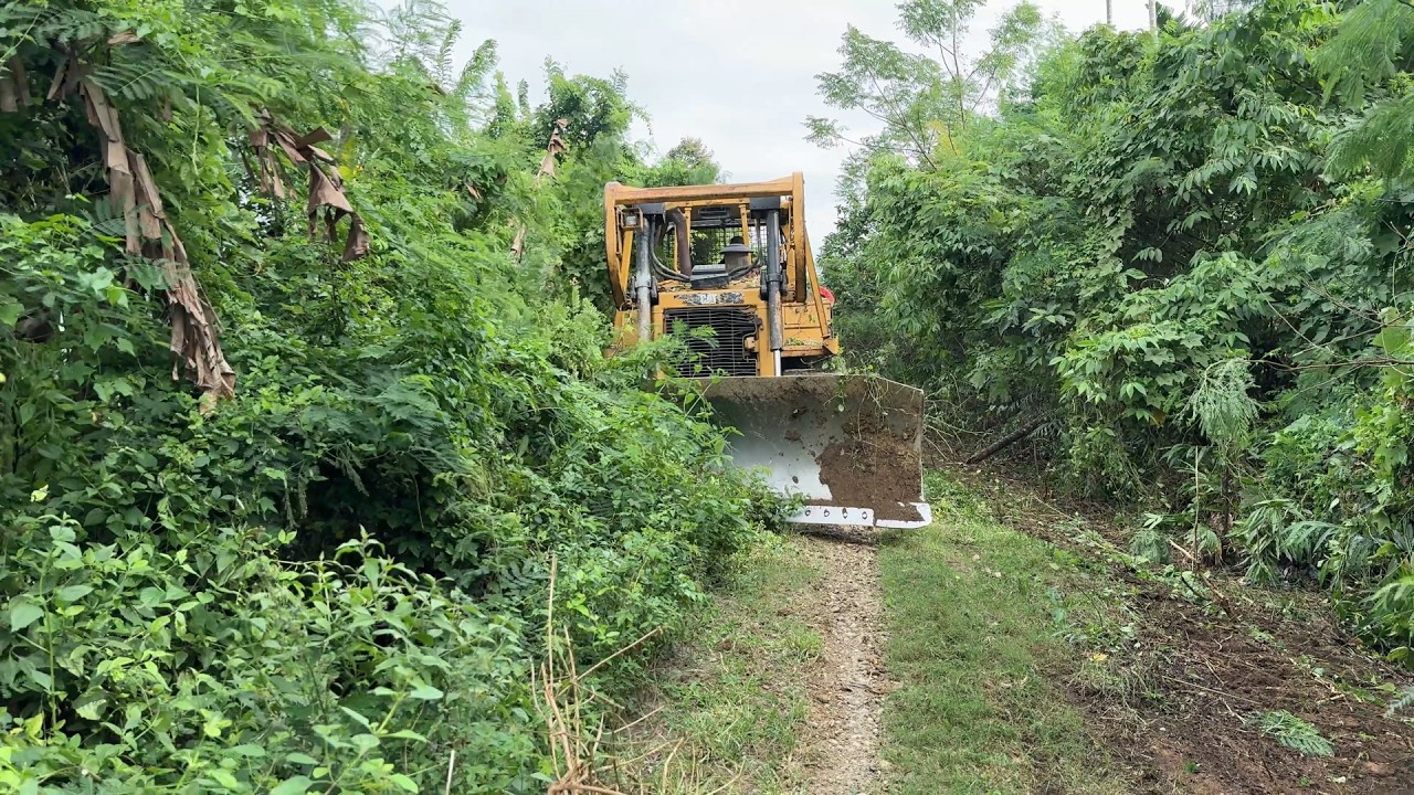 Old Roads in the Plantation Are Now Functional Again Thanks to the D6R XL Bulldozer