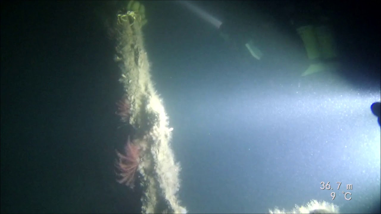 Scuba diving Scotland, wreck dive, SS kintyre