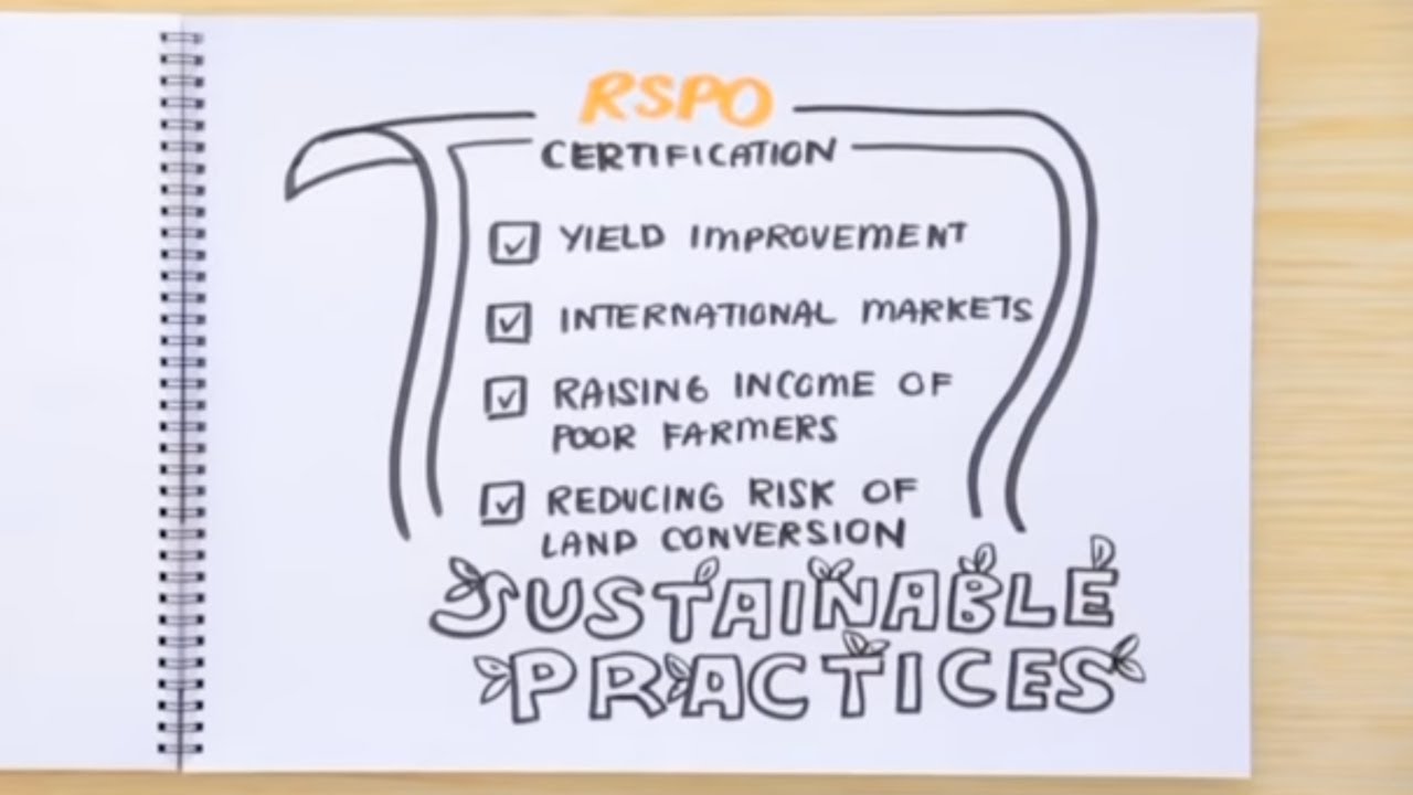RSPO Certification for Smallholder