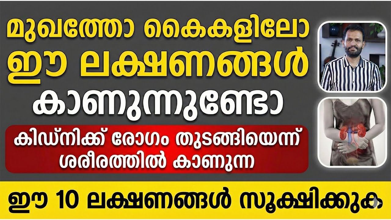 കിഡ്നിക്ക് രോഗം തുടങ്ങിയെന്ന് ശരീരത്തിൽ കാണുന്ന ഈ 10 ലക്ഷണങ്ങൾ സൂക്ഷിക്കുക | kidney disease