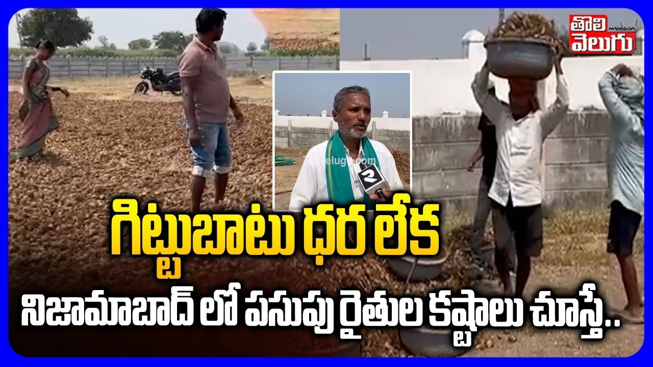 గిట్టుబాటు ధర లేక .. నిజామాబాద్ లో పసుపు రైతుల కష్టాలు చూస్తే | Nizamabad Turmeric Farmers