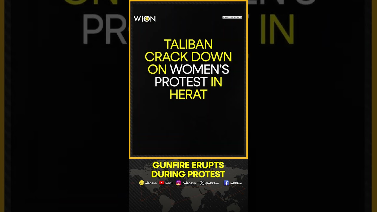 Taliban Crack Down On Women&rsquo;s Protest In Herat | WION Shorts