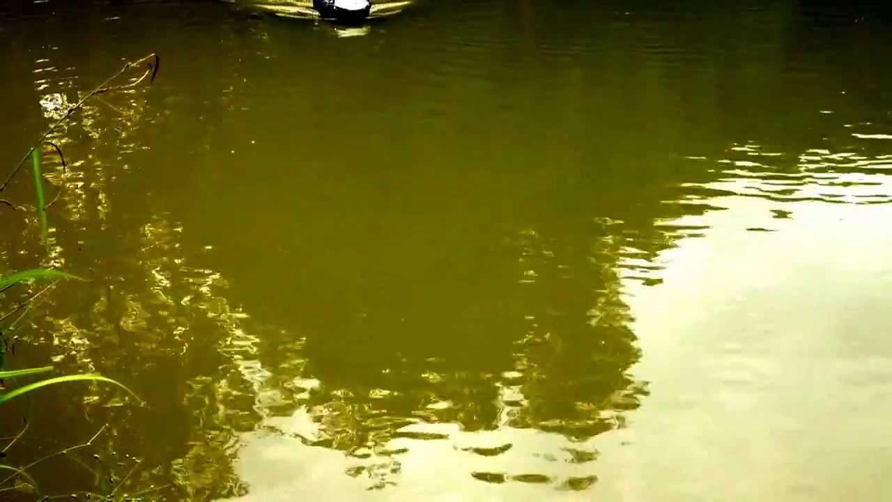 Anatec PAC carp fishing bait boat demo exclusive to baitboats.net
