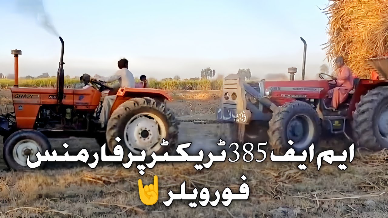 MF 385 4x4 power show on lodad tralla 🔥