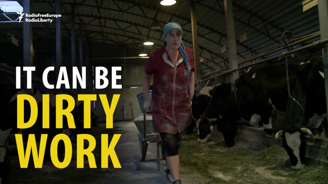 'We Work In Hell' - Russia's Miserable Milkmaids