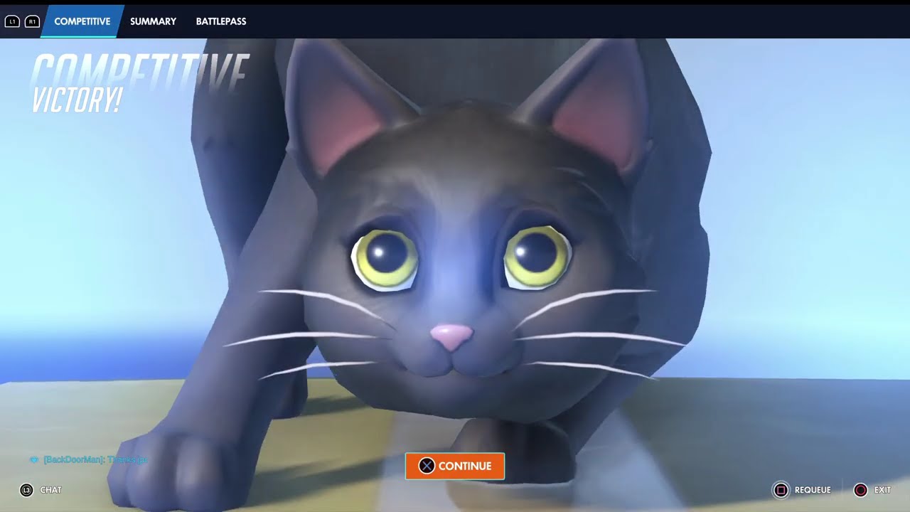 prOverwatch: Catlover