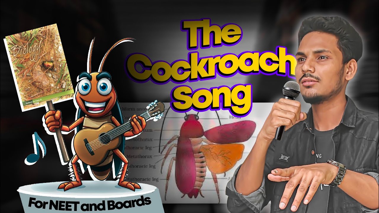 😳 Ek Gaana aur Cockroach Khatam | Cockroach Song One Shot | MedStar Wasim