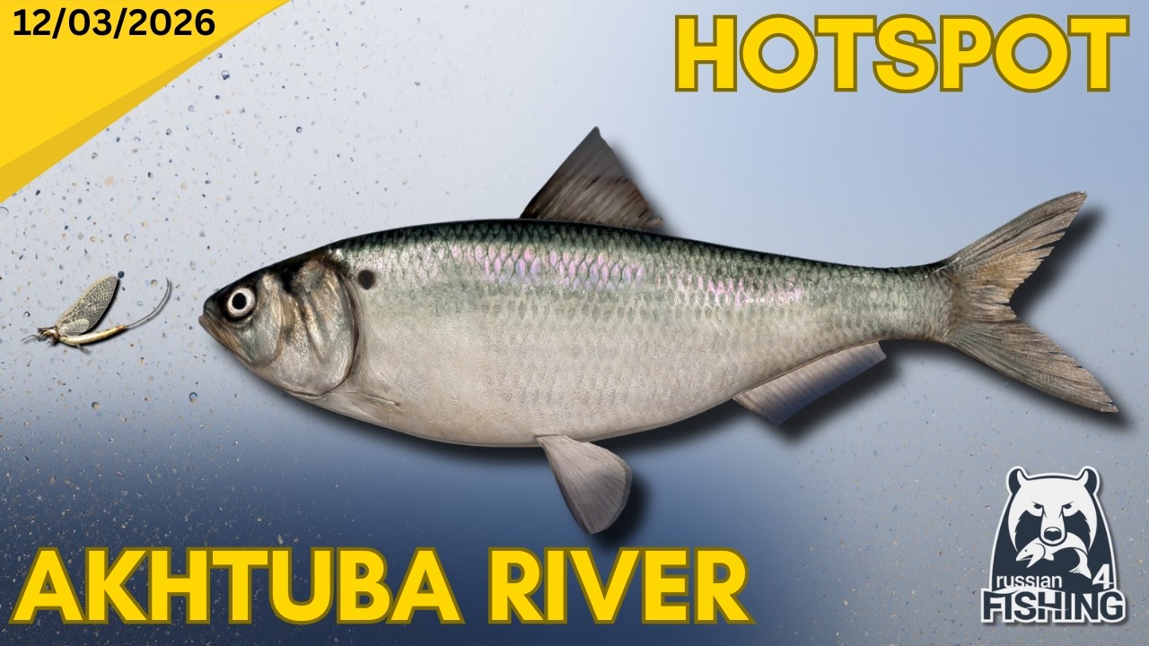 Float fishing for Black Spined Herring - Russian Fishing 4