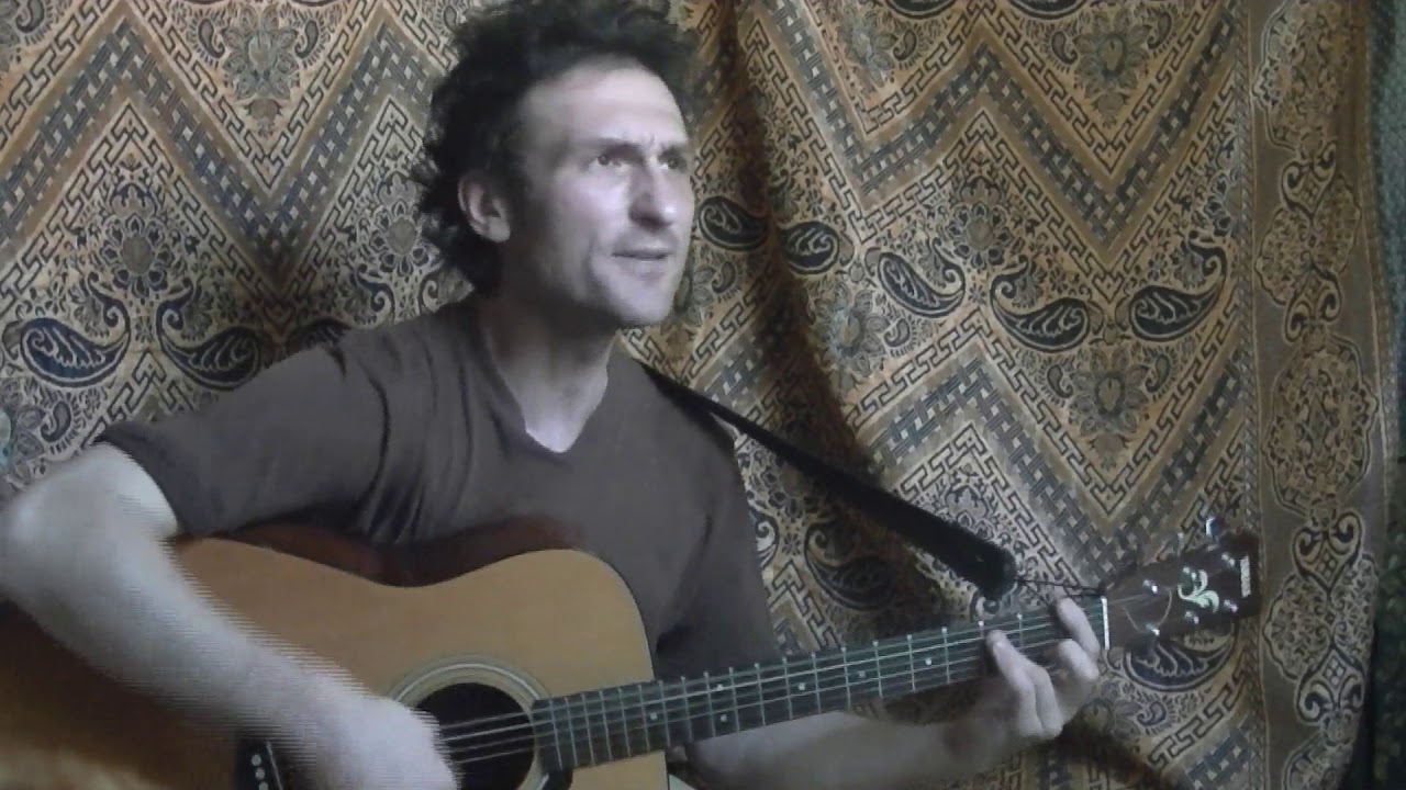 Punks Not Dead (acoustic cover)