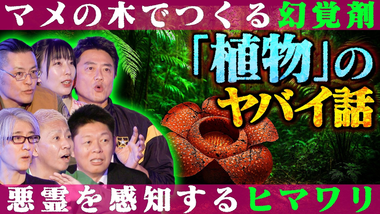 【初耳怪談】※ガチ恐怖※《幻覚剤》になる植物を儀式に…南米のヤバい民族※不可解※何者かが自宅に侵入…遺留品