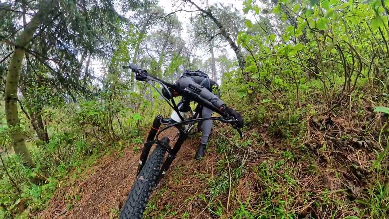 Un rico descenso en la Montaña
