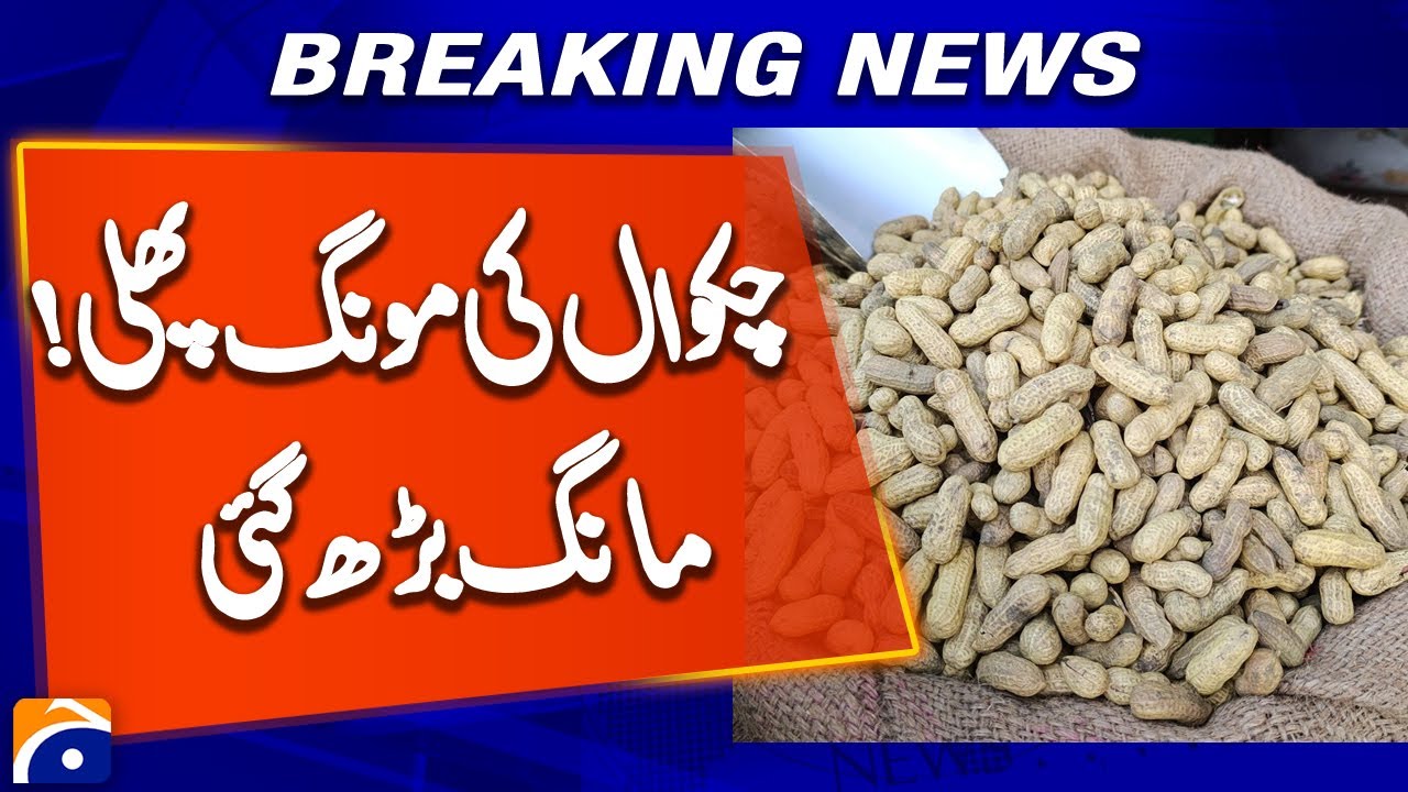 Chakwal Peanuts in High Demand: Farmers See Boost in Sales | Geo news