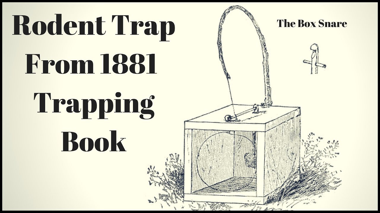 Rodent Trap From an 1881 Book.  The Box Snare Trap. Mousetrap Monday