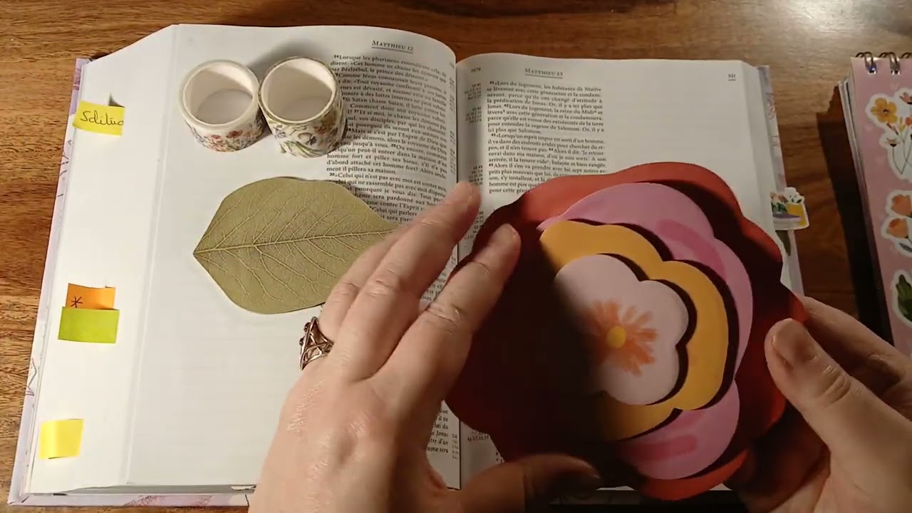 Parabole du semeur et des terrains. Mathieu13 / BIBLE JOURNALING.
