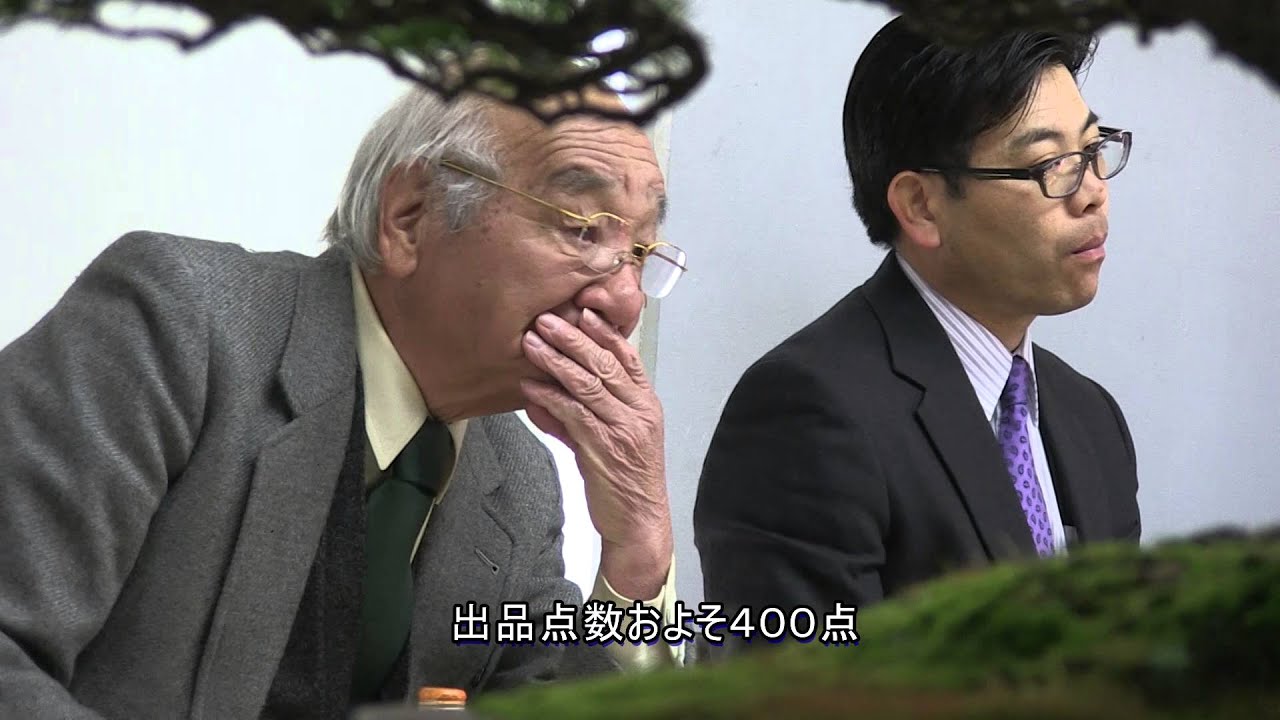 第９０回国風盆栽展・審査会の模様